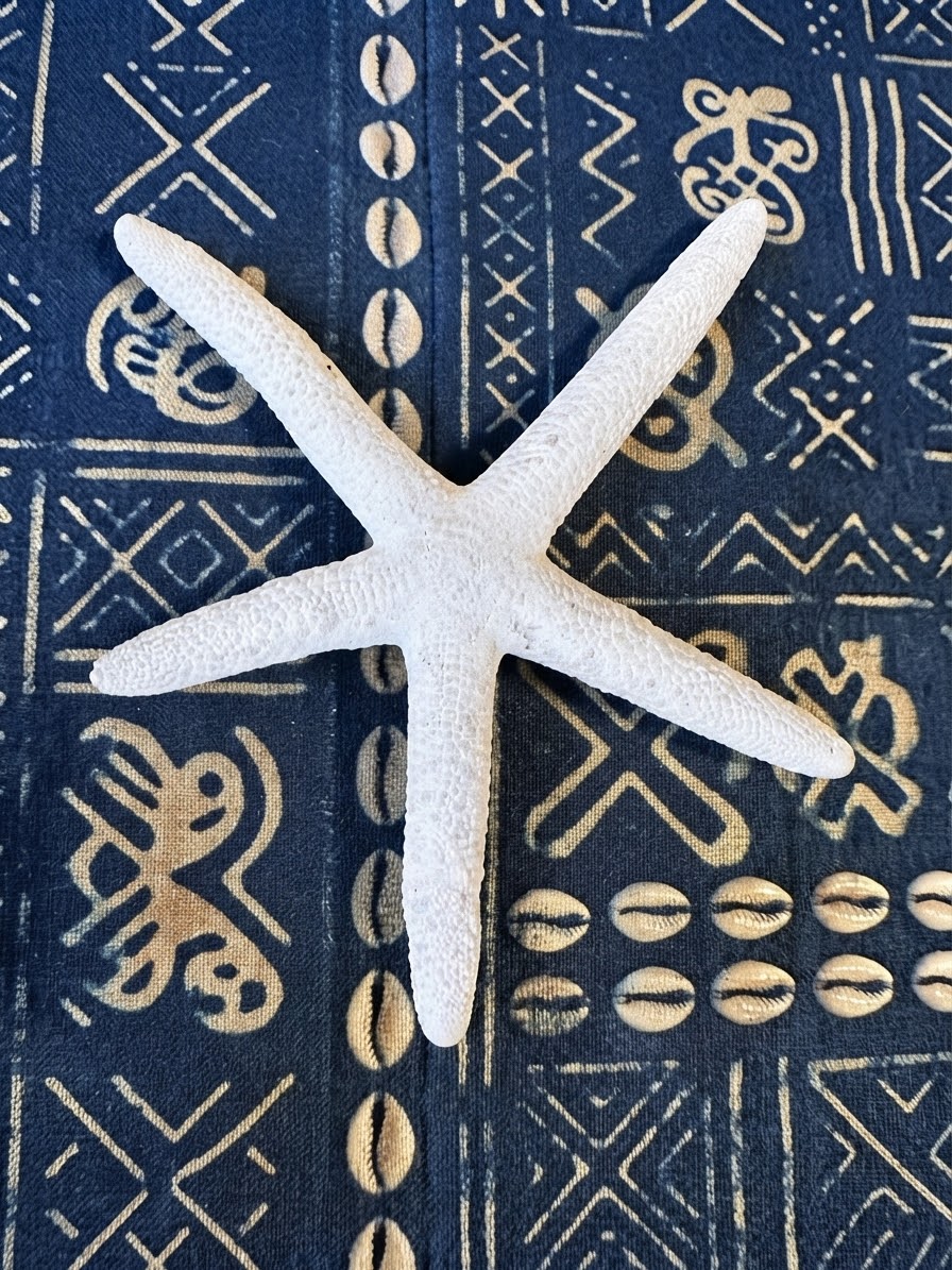 ESTRELLA BLANQUEADA