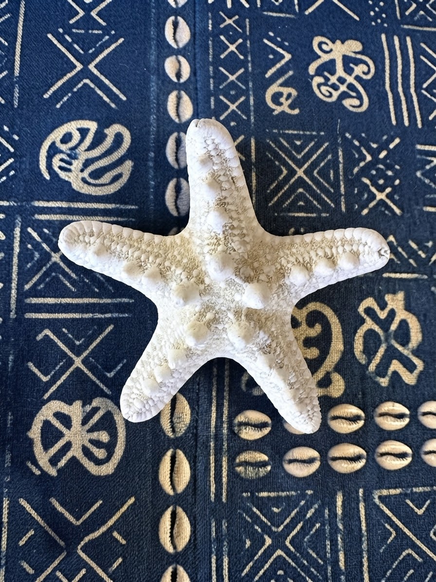 Estrella nudosa